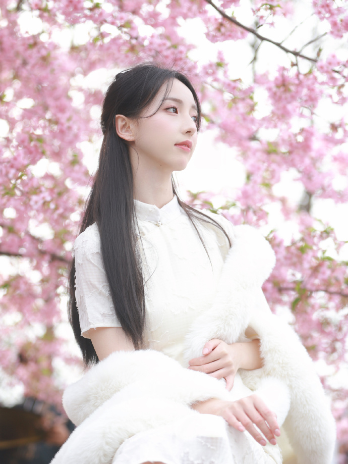 知否知否应是绿肥红瘦